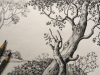 Tree Drawing in Pencil Pencil Sketch for Beginners Scenery Drawing