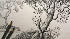 Tree Drawing in Pencil Pencil Sketch for Beginners Scenery Drawing