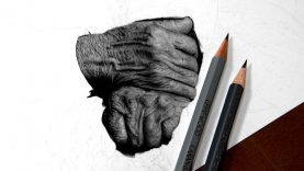 Drawing Hands Real Time Progress