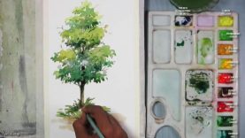 How to Paint A Tree in Watercolor Episode 2