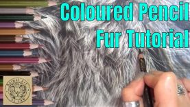 Colored Pencils on Drafting Film Creating Fur Texture