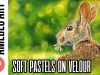 Hare in soft pastels tutorial Kate Amedeo