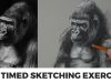 Timed Sketching Exercise Gorilla with Charcoal