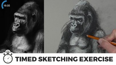 Timed Sketching Exercise Gorilla with Charcoal