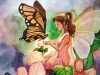 Butterflies With Fairy beautiful watercolor Painting Watercolor composition drawing