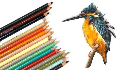 DRAW A BIRD with Colored Pencils Kingfisher