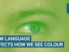 How Language Changes The Way We See Color