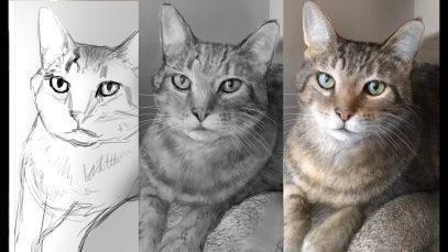 Hyper Realism Digitally painting a cat in Photoshop