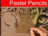 Learn How to Draw Fur with Pastel Pencils wildlife art Jason Morgan