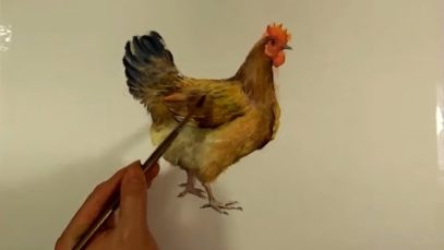 Watercolor Animals Painting Hen Chicken ̣ Paint