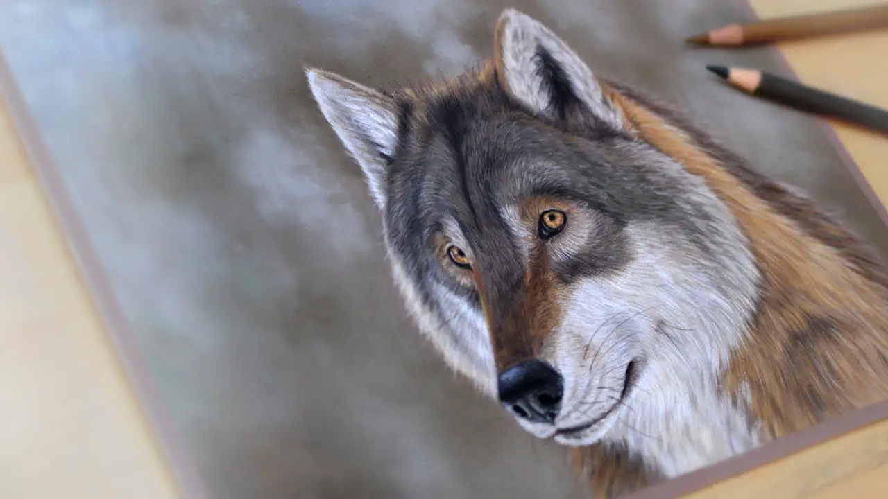 https://painting.tube/wp-content/uploads/2019/11/25/Wolf-in-colored-pencil.jpg