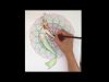 39Mermaid Portal39 Colour Pencil Time Lapse Drawing by Georgina Richmond