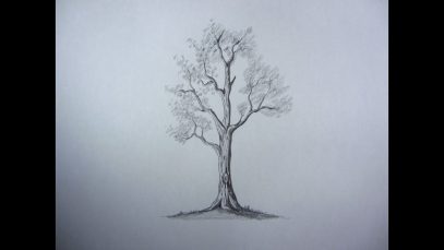 How To Draw Pencil Drawing Tree