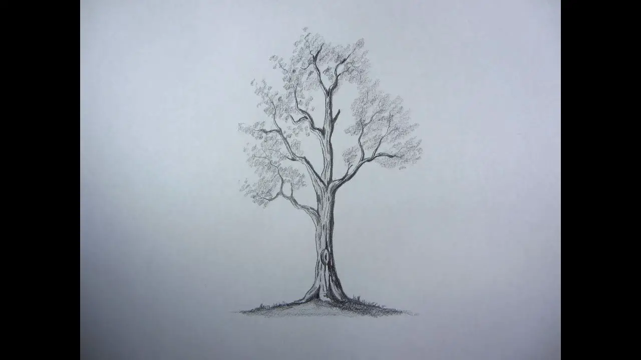 Easy Landscape Drawing In Pencil - Scenery Drawing - Paintingtube