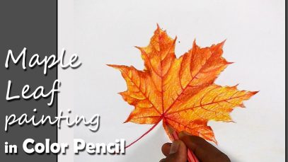 How to Paint Maple Leaf in Color Pencil