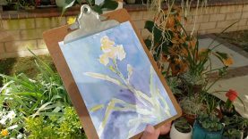 Yellow Iris Plein Air Watercolor Painting with Henry Li