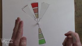 Basic Explanation of the Complementary Color Scheme