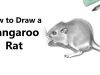 How to Draw a Kangaroo Rat with Pencils Time Lapse