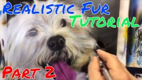 How to airbrush realistic white fur part2