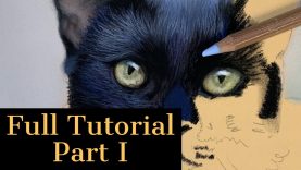Full Pastel Drawing Tutorial Part 1 How to Paint Black Fur and Cat Eyes