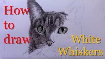 How to Draw White Whiskers Remrov Pencil Artist