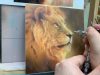 Lion Airbrush painting by Bicman