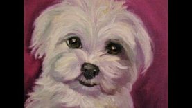 Art Instruction Mini Lesson Dog Portrait Maltese in Oil