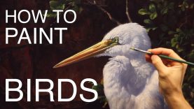 How To Paint Birds EPISODE THREE The Egret and Brahminy Kites