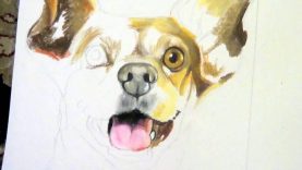 Drawing Chula the Chihuahua