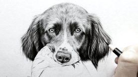 How to draw realistic fur dog earsReal time Leontine van vliet