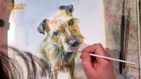 Smudge the Border Terrier Timelapse Watercolour Painting