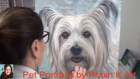 Time Lapse Pet Portrait Painting of Cair Terrier