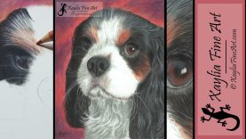 Tutorial how to draw a Cavalier King Charles Spaniel in coloured pencils