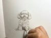 Watercolour drawing dog Bichon Frise