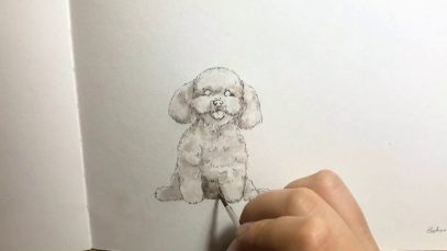 Watercolour drawing dog Bichon Frise
