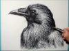Drawing a Raven Ballpoint Ink Pen Drawing Scribble Art Therapy Day 016