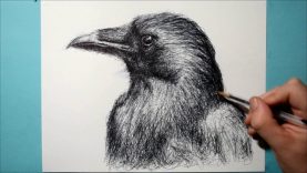Drawing a Raven Ballpoint Ink Pen Drawing Scribble Art Therapy Day 016