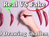 10 Real vs Drawing Illusions to Test Your Brain
