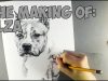 American Staffordshire Terrier Speed Drawing