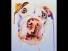 Colorful American Bulldog Simba By Cousineau Art