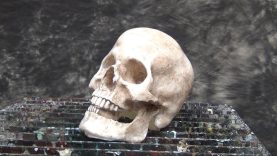 Resin Casting Tutorial Skull Cast