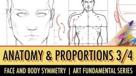 Art Fundamentals Basic Anatomy amp Proportions 34