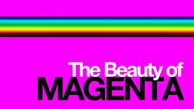 Colour Theory The Beauty of Magenta
