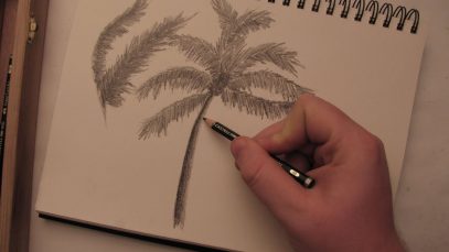 How to Draw a Palm Tree in Pencil