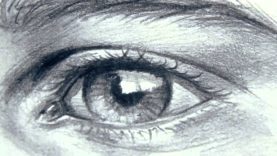 How to draw eyes eyebrows Mural Joe