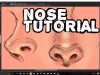 TUTORIAL How to draw and paint semirealism nose
