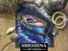 Boat Sheshina