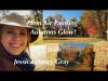 Plein Air Painting Autumns Glow With Jessica Henry Gray