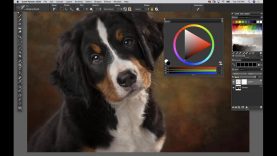 How to paint effortless fur in Painter 2020