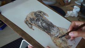 APASH illustration Boxer Dog drawing